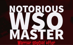 Notorious WSO Master - How I sold 488 WSOs on the Warrior forum, working only 6 hours Thumbnail